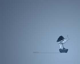 Duality