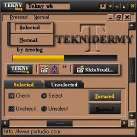 Teknidermy
