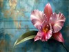 Simply Orchid