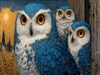 Blue Owls by: Sed