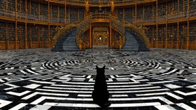 Library Guard