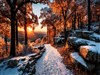 Autumn Snow by: Sed