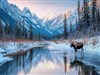 Winter Moose by: Sed