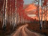 October Birch by: Sed