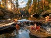 Chippewa Creek by: Sed