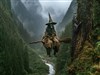 Watch Where You are Going by: Sed