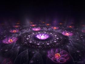 Pearl Flowers Pond by love1008