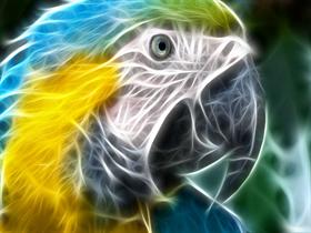 Parrot-by titusboy25