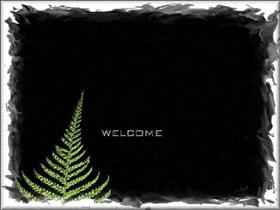 Green Fern Welcome 2