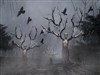 Evil Forest ~Halloween by: sydneysiders