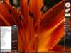 February 07' Desktop by: MasterSchwag