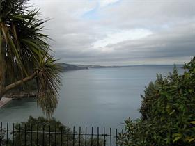 Scenic Torbay