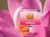 Splash Pink LogonVista by: Life is a Game