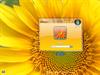 Splash Yellow LogonVista by: Life is a Game