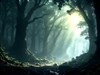 Sunlight cascading