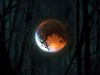 Halloween red moon