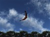Soaring by: Cavan1