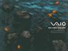 Vaio in the Water by: Bash2cool