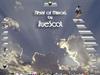 Flight of Mirrors by: TrueScot