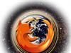 Firefox by: Hog56
