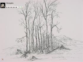 Sketch of the nature