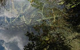 reflections_logon