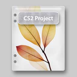 Plastic File: Creative Suite 2 Std