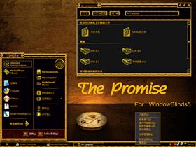 ThePromise for WindowBlinds5