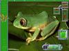 Tree Frog by: Incoherent