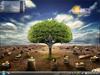 ClearCut by: terigw