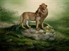 ASLAN_wallpak by: Stramp