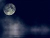 MoonLights by: ArileenDesign