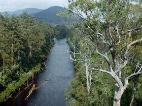 Huon River 5