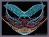 Fractal 286 by: digitalpix4all