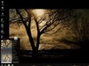 23 sept 2010 by: loukeeya