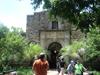 THE ALAMO