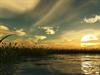 Camargue by: philmar83