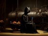 black cat watcher by: ahabkaba