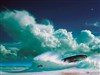 Emergence by: ahabkaba