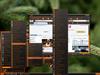 My Evergreen Fall by: angus1949