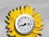 Sunflower Clock by: angus1949