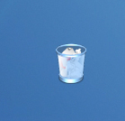 Heins Trash Bin