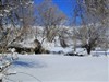 Winterland by: cyberclydes