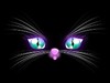 Kitty Khat - 2 by: ailime