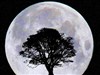 MoonRise by: DPCloud