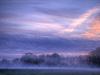 Frech by: Sliden