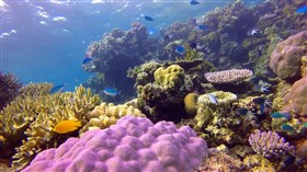 Great_Barrier_Reef