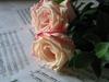 For the Love of Music by: DWALKER1047