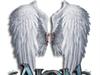Aion by: popicavlad