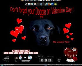 Love your Doggie